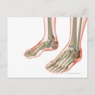 Feets ben vykort