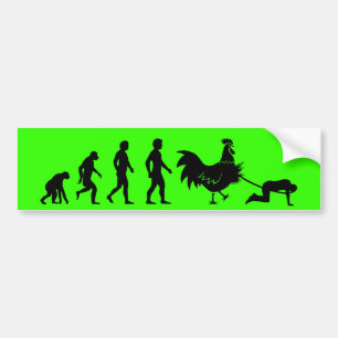 Feg evolution bildekal