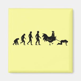 Feg evolution magnet