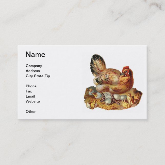 Feg hönachick- & äggvisitkort visitkort (Framsida)