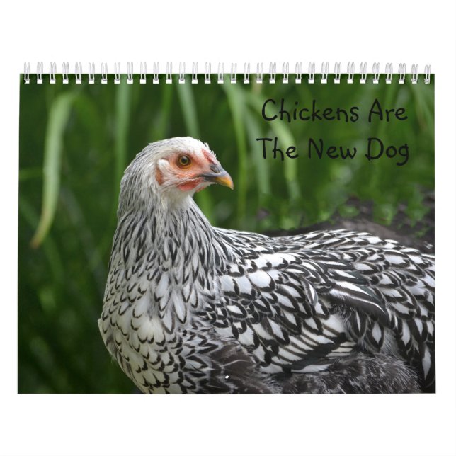 Feg kalender (Omslag)