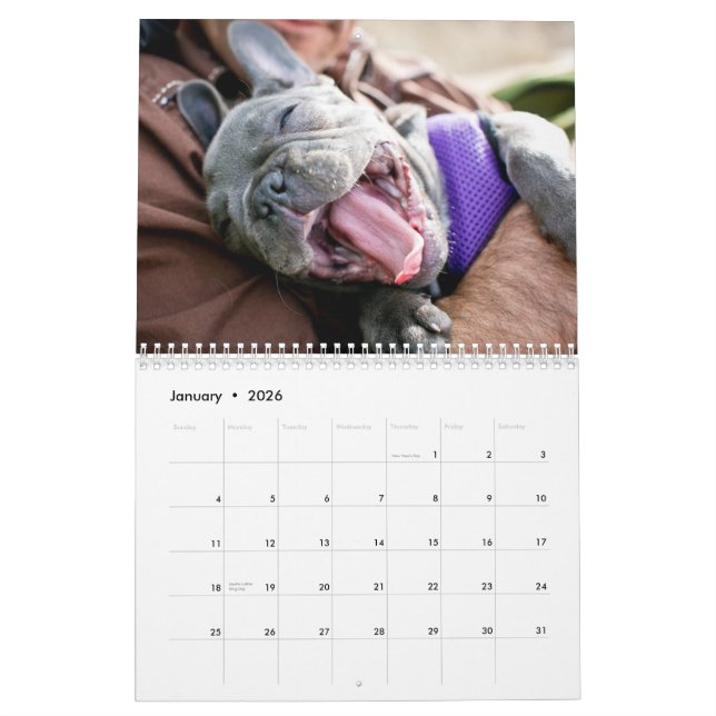 Feg kalender 2013 (Jan 2026)