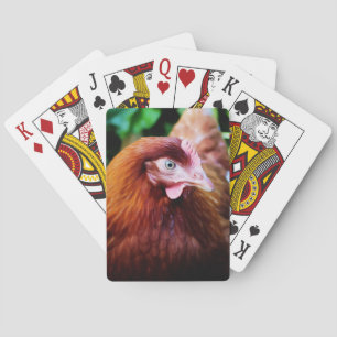 Fega leka kort casinokort