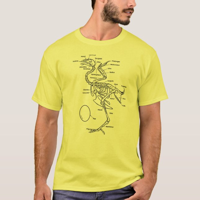 Fegt diagram t shirt (Framsida)