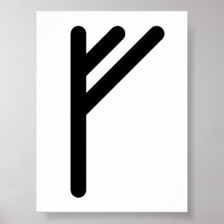 FEHU Nordisk runa (Rikedom, Framgång, Överflöd) | Poster