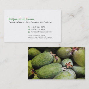 Feijoa-fruktuppfödare/affärskort som tillverkar sy visitkort