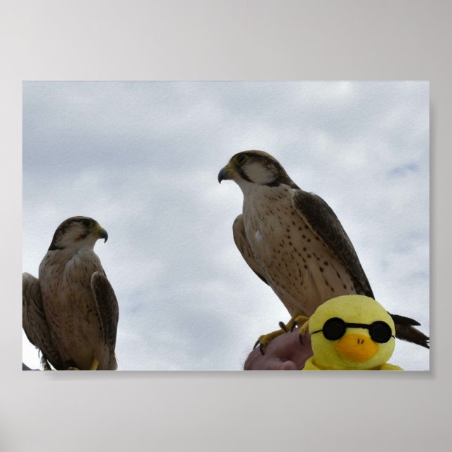 Fel Plats Fel Tid Poster (Framsidan)