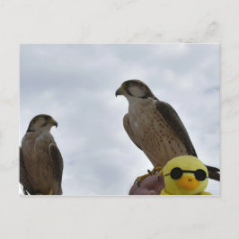 Fel Plats Fel Tid  Vykort