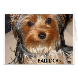 Felaktig Hund Hälsningskort