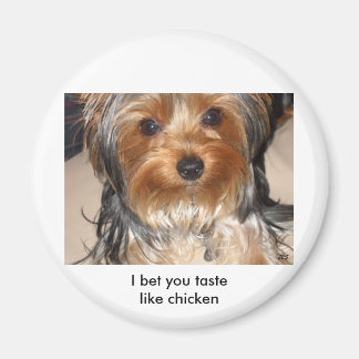 Felaktig Hund Magnet