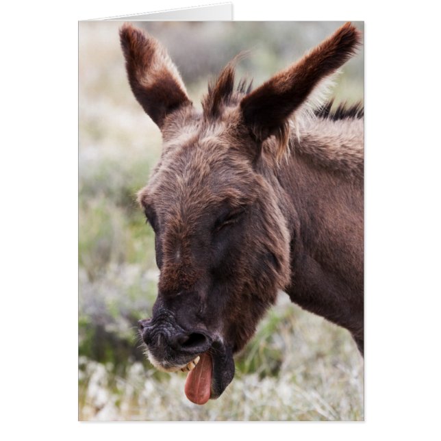 Felaktig inkastning hälsningskort (Framsidan)