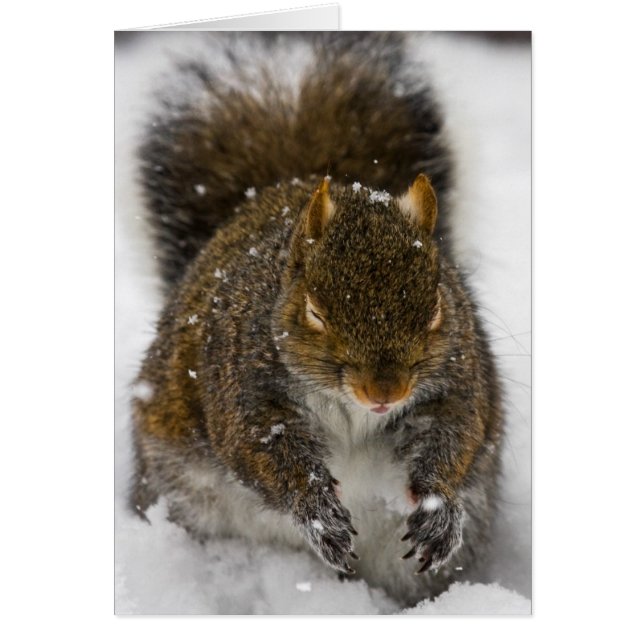 Felaktig inkastning hälsningskort (Framsidan)