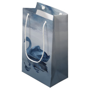 Felaktiga reflektioner Moody Dusty Blue Svan vid