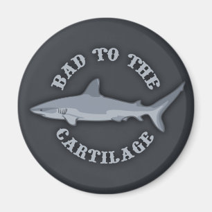 Felaktigt för Cartilage Magnet