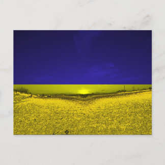 Feld in Farben der Ukraine Vykort