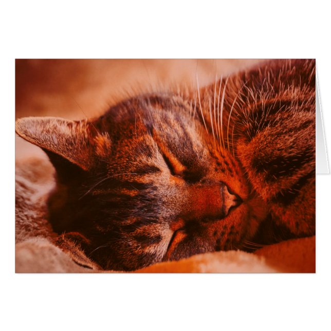 Felfri Hälsningskort (Framsidan Horizontal)