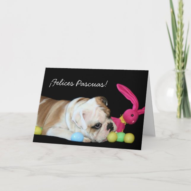 ¡ Felices Pascuas!  tarjeta de bulldogg Ingles Helgkort (Framsida)