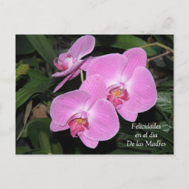 Felicidades dia de las Madres Vykort