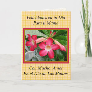 Felicidades Mamma en el Dia de Las Madres 1021 Kort