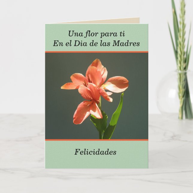 Felicidades para ti en el dia de las madres kort (Framsida)