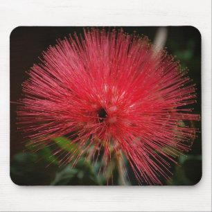 Felik dammtrasa Mousepad Musmatta
