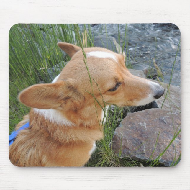 Felik jägare Mousepad för Corgi Musmatta (Framsidan)
