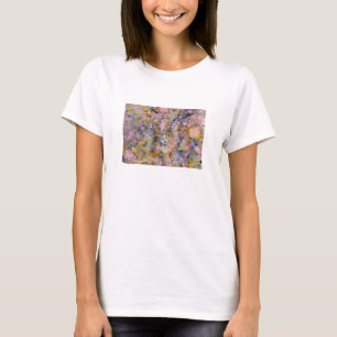 Felik magi t-shirt
