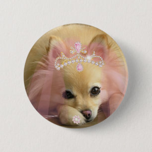 felik princesshund med diamantkronan knapp