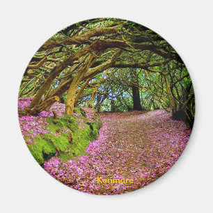 Felik tunnel, Kenmare Magnet