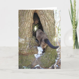 FELIKT VÄNkort Kort