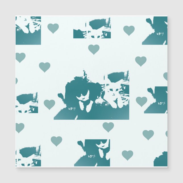 Feline Friends. Adorable Kitten Duo. (Framsida)