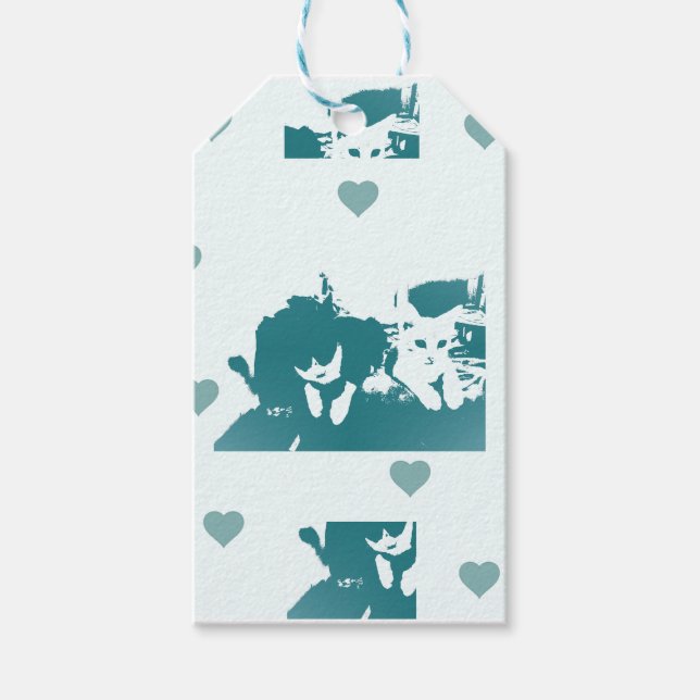 Feline Friends. Adorable Kitten Duo. Presentetikett (Framsidan)