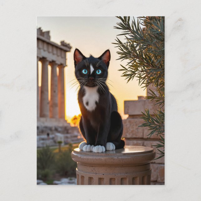 Felini besöker Parthenon: En grekisk Odyssey Helg Vykort (Framsida)