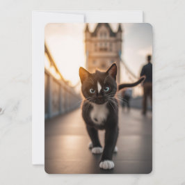 Felini Strollover Torn Bridge: A London Svan Julkort