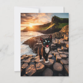 Felinis Irish Äventyr - Giant's Causeway Vykort