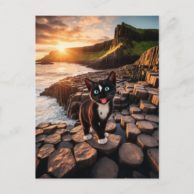 Felinis Irish Äventyr - Giant's Causeway Vykort (Framsida)