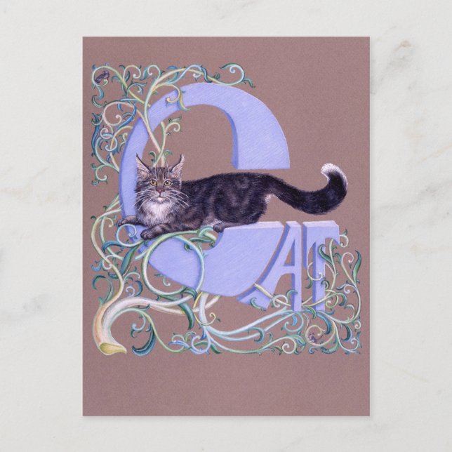 Felis Illumines Vykort (Framsida)