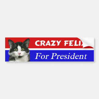 Felix katten för presidentbildekal bildekal
