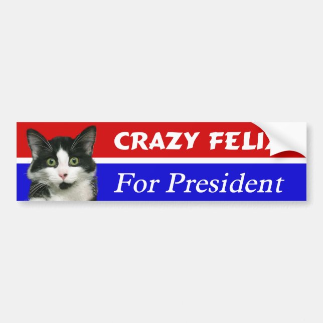 Felix katten för presidentbildekal bildekal (Framsidan)