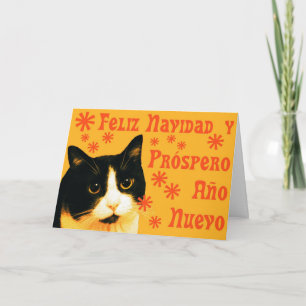 Felix Navidad Helgkort