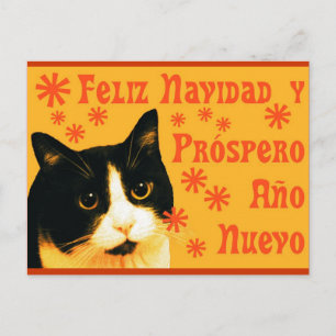 Felix Navidad Vykort