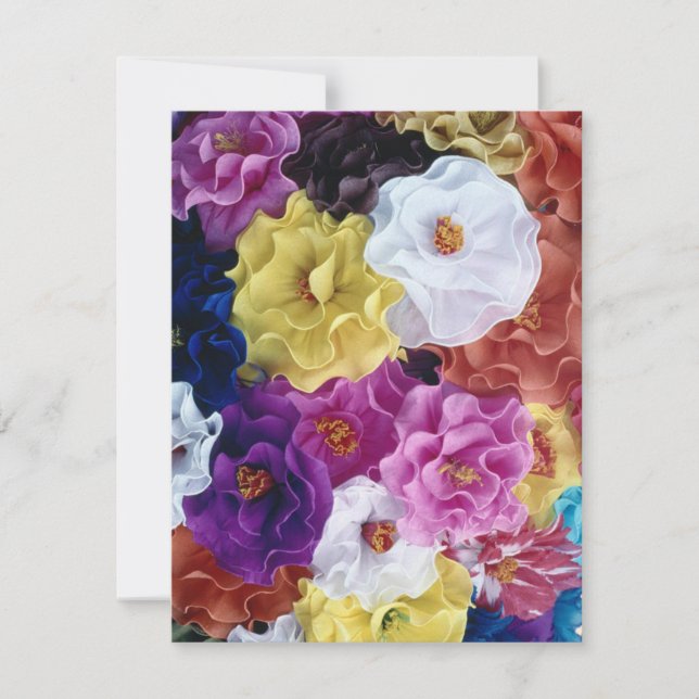 Feliz Cinco de Mayo! (Framsida)