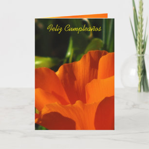 Feliz Cumpleaños - Amapola de Kalifornien Kort