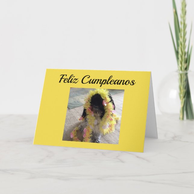 **FELIZ CUMPLEANOS**-GRATTIS PÅ FÖDELSEDAGEN SPANI KORT (Framsida)