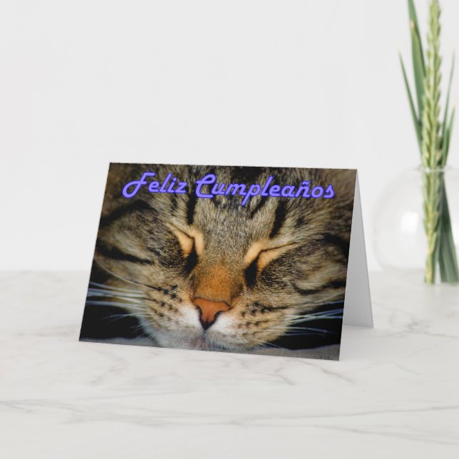 Feliz Cumpleaños Spanska födelsedagen med kattunge Kort (Framsida)