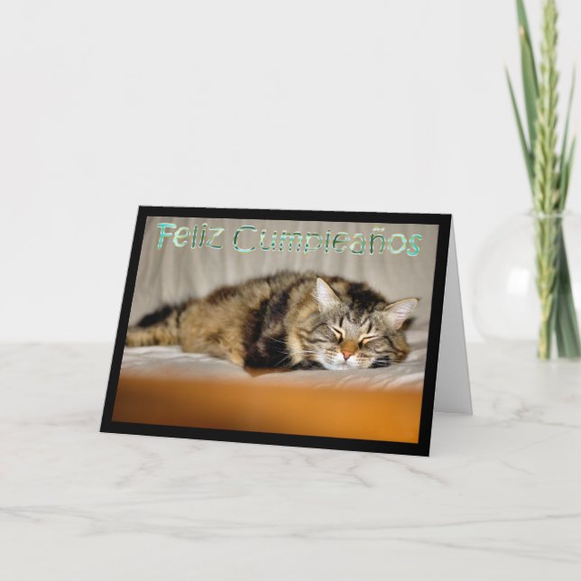 Feliz Cumpleaños Spanska födelsedagen med kattunge Kort (Framsida)