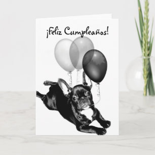 Feliz Cumpleaños tarjeta de Bulldogg Frances Kort