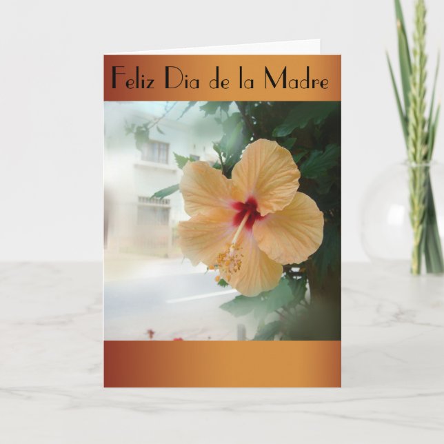 Feliz Dia de la Madre 2 Kort (Framsida)