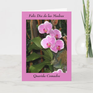 Feliz Dia de las madres Comadre Kort