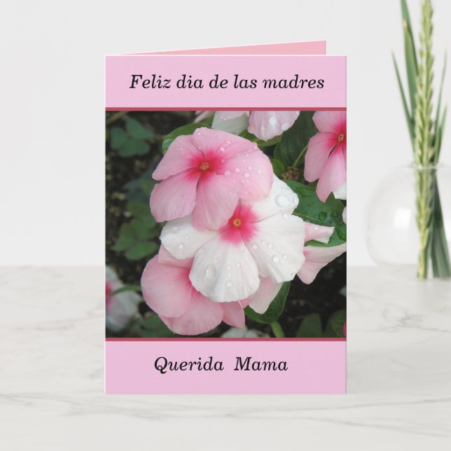 Feliz dia de las madres mamma kort (Framsida)